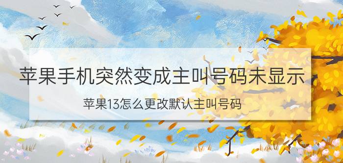 苹果手机突然变成主叫号码未显示 苹果13怎么更改默认主叫号码？